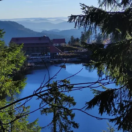 Naturblick