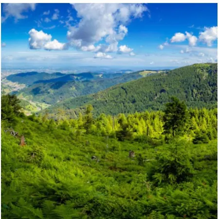 Daire Naturblick Baiersbronn